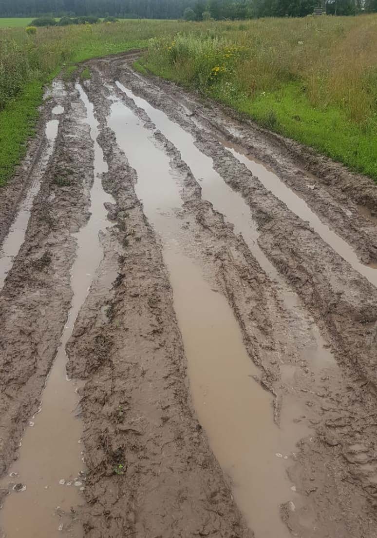 Дорога 039