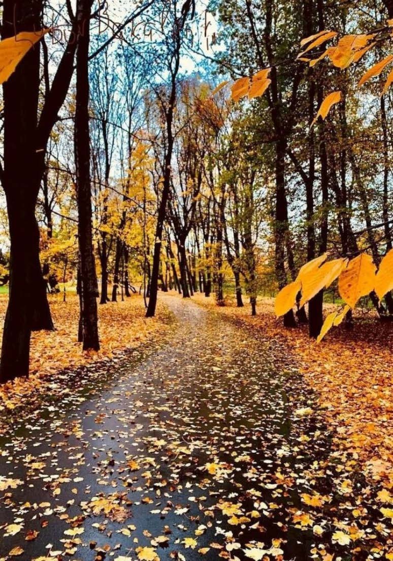 Дорога 056