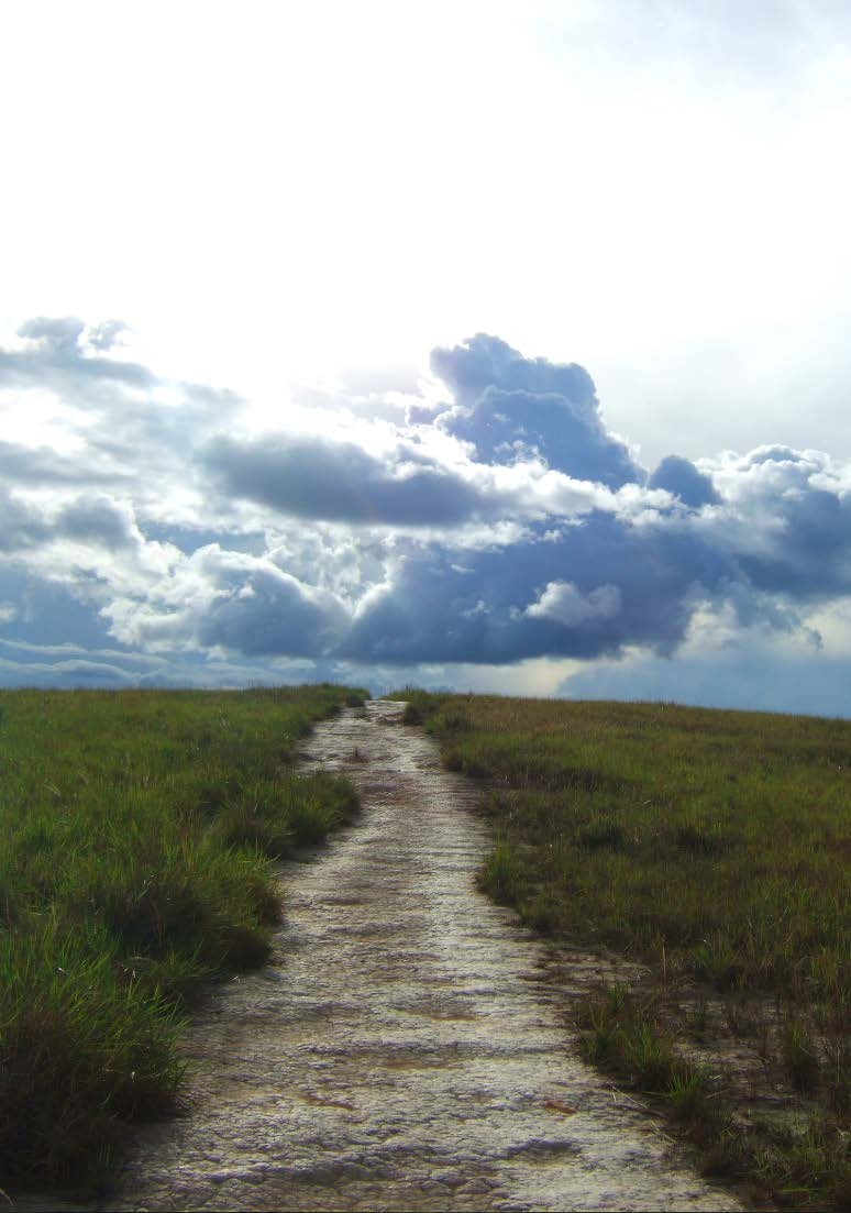 Дорога 066