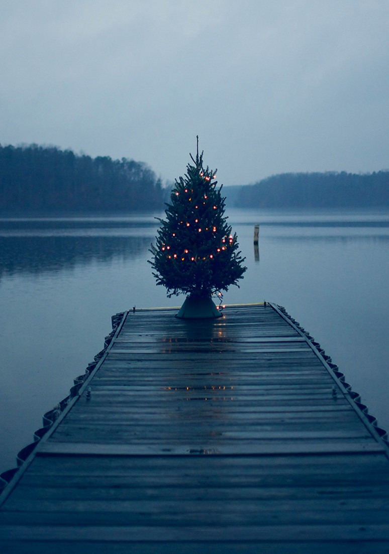 Дерево 014