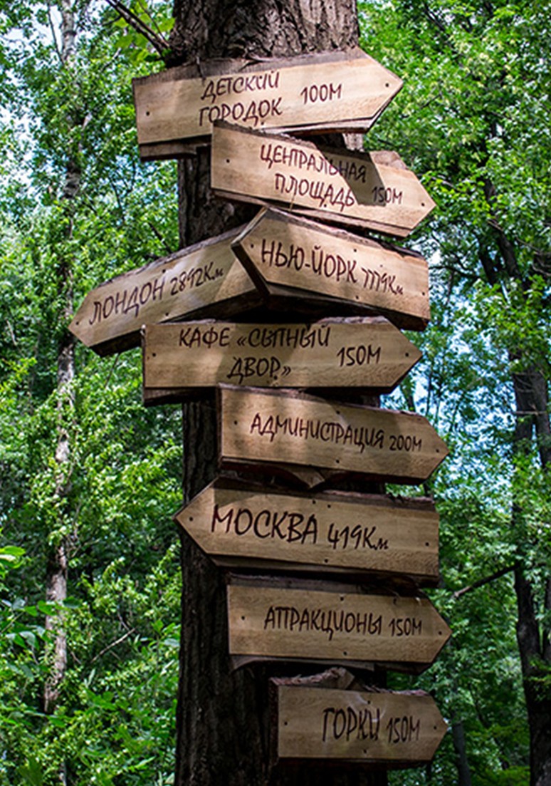 Дерево 051