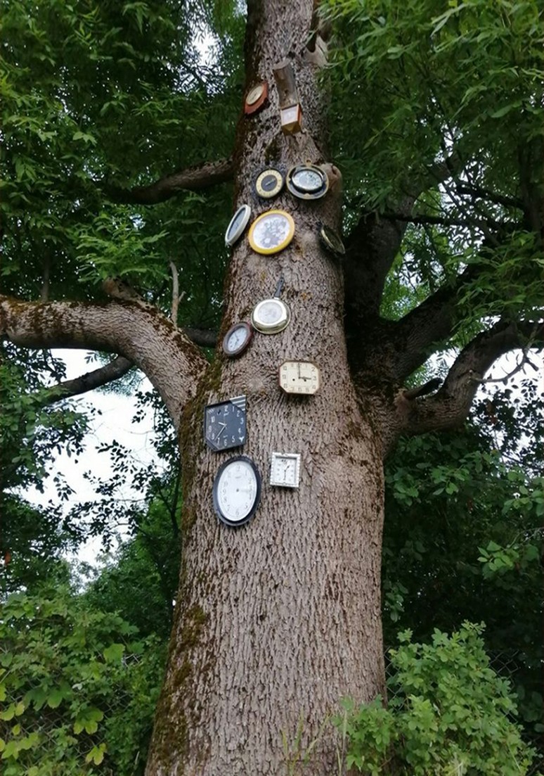 Дерево 054